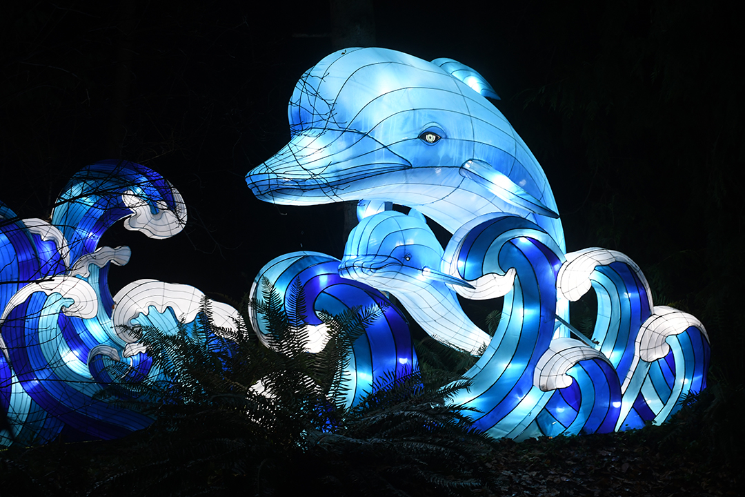 WildLanterns Dazzles At Seattle’s Woodland Park Zoo | ParentMap